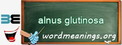 WordMeaning blackboard for alnus glutinosa